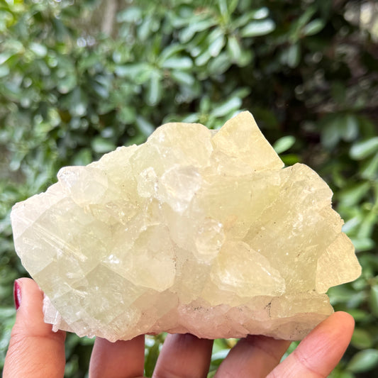 Green Apophyllite Cluster Natural Specimen Crystal 714g