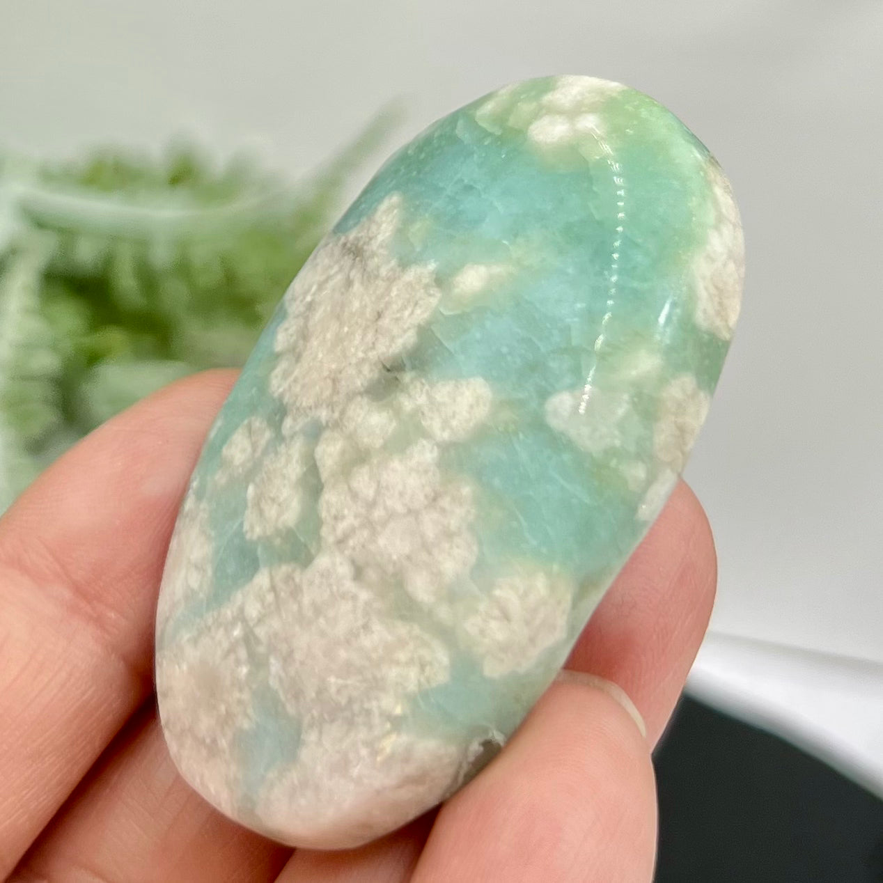 Green Flower Agate Sakura Rare Palm Stone Meditation Crystal 42g