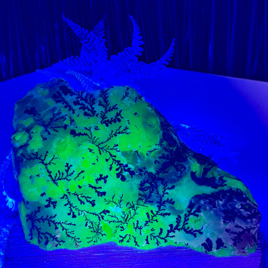 Dendritic Volcanic Agate RARE Raw Specimen UV Reactive Crystal 1704g