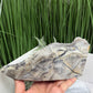 Dendritic Volcanic Agate RARE Raw Specimen UV Reactive Crystal 1704g