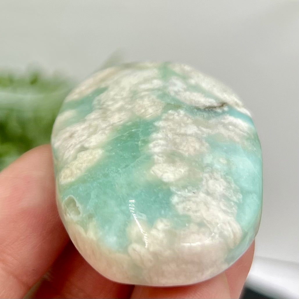 Green Flower Agate Sakura Rare Palm Stone Meditation Crystal 42g