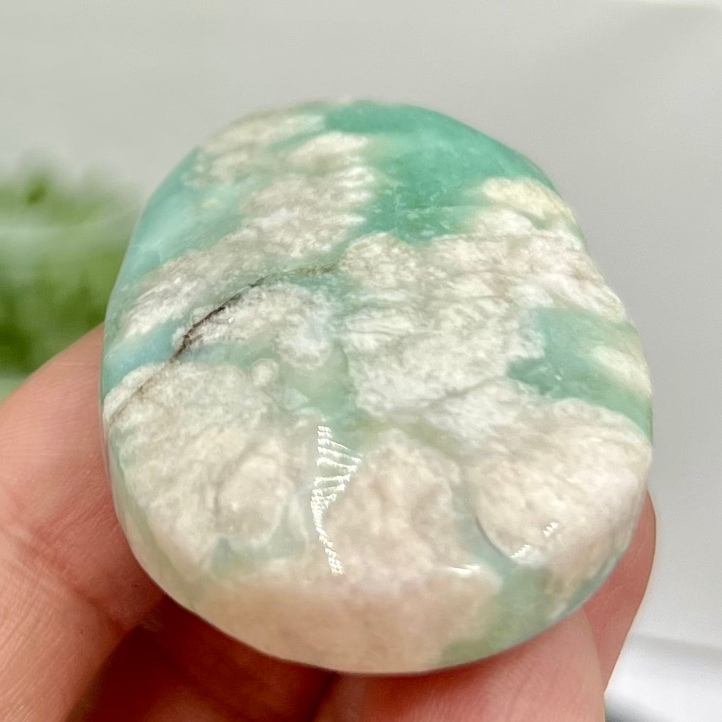 Green Flower Agate Sakura Rare Palm Stone Meditation Crystal 42g