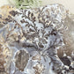 Dendritic Volcanic Agate RARE Raw Specimen UV Reactive Crystal 1704g