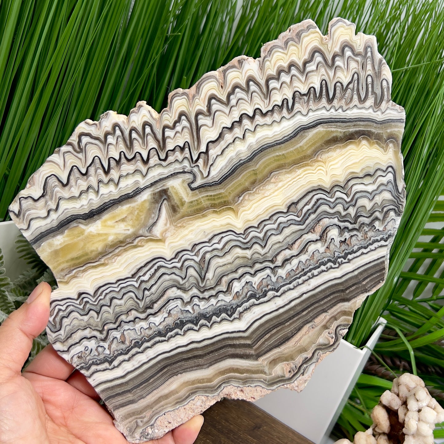 Large Zebra Calcite Slice Healing Crystal Specimen Slab 572g