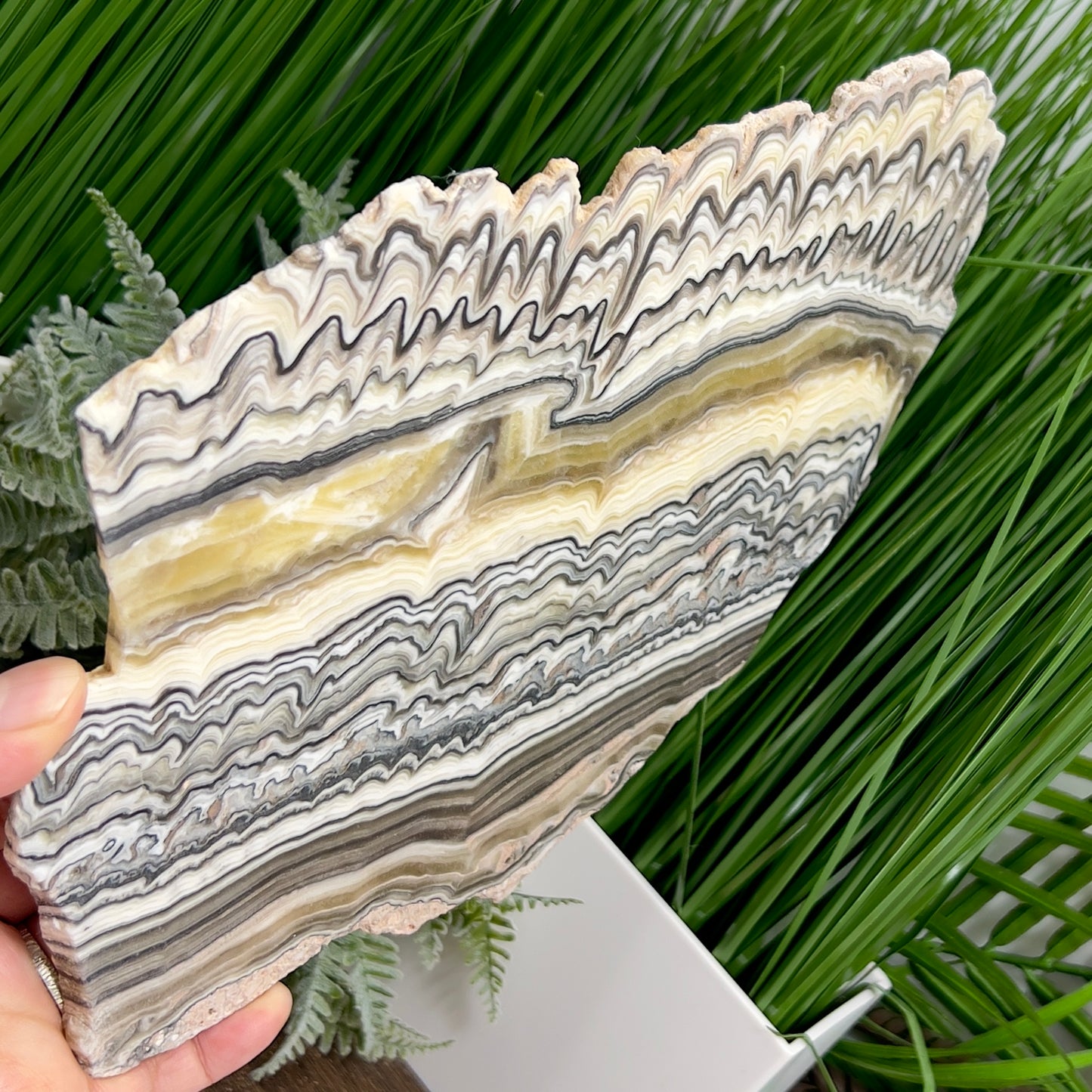 Large Zebra Calcite Slice Healing Crystal Specimen Slab 572g