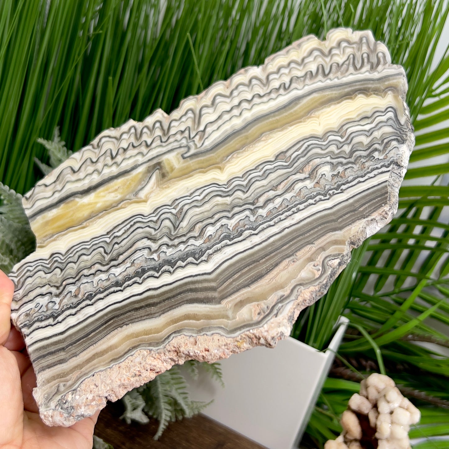 Large Zebra Calcite Slice Healing Crystal Specimen Slab 572g