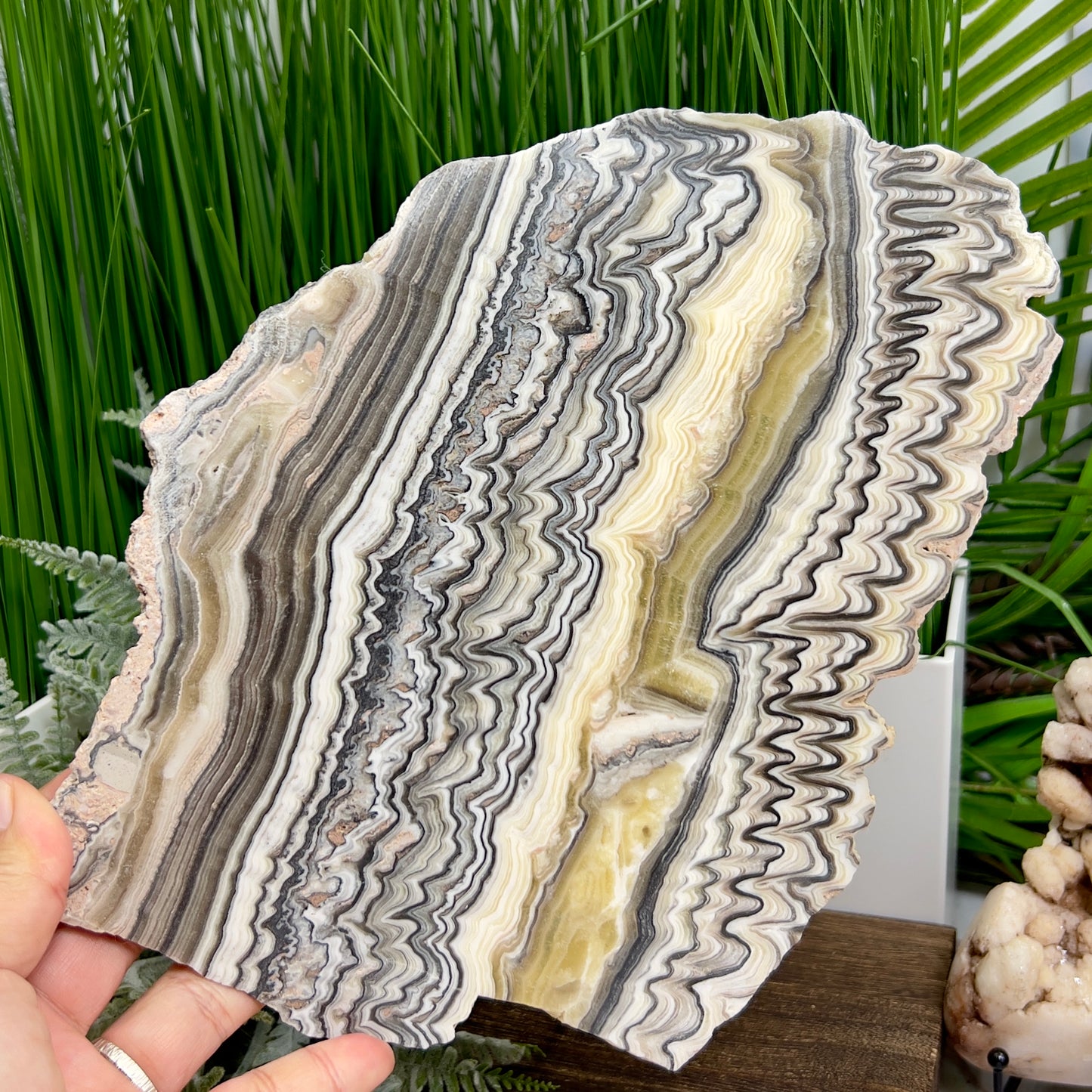 Large Zebra Calcite Slice Healing Crystal Specimen Slab 572g