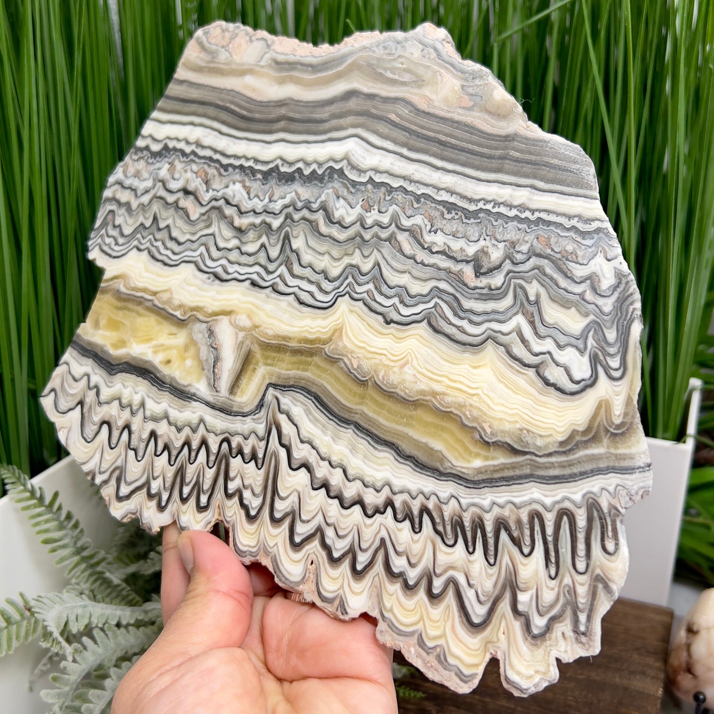 Large Zebra Calcite Slice Healing Crystal Specimen Slab 572g