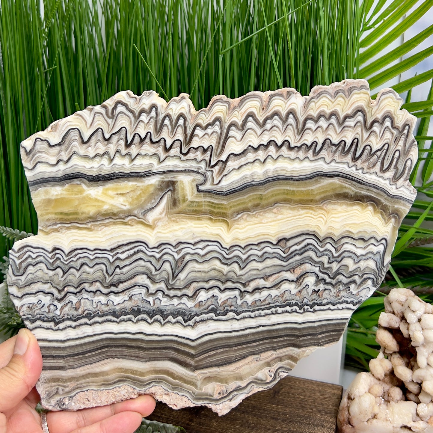 Large Zebra Calcite Slice Healing Crystal Specimen Slab 572g