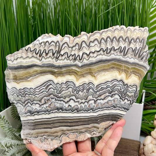Large Zebra Calcite Slice Healing Crystal Specimen Slab 864g