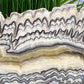 Large Zebra Calcite Slice Healing Crystal Specimen Slab 572g