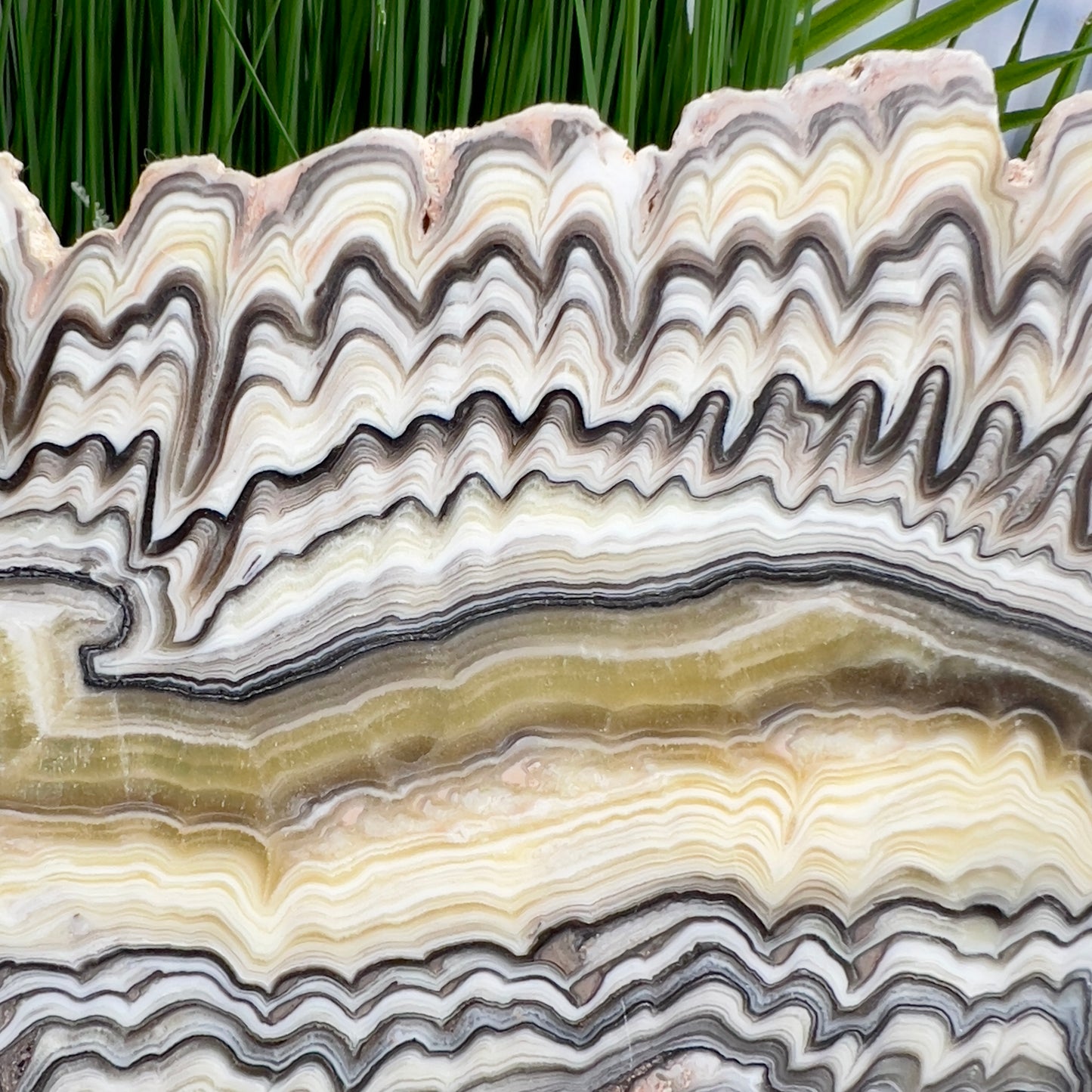 Large Zebra Calcite Slice Healing Crystal Specimen Slab 572g