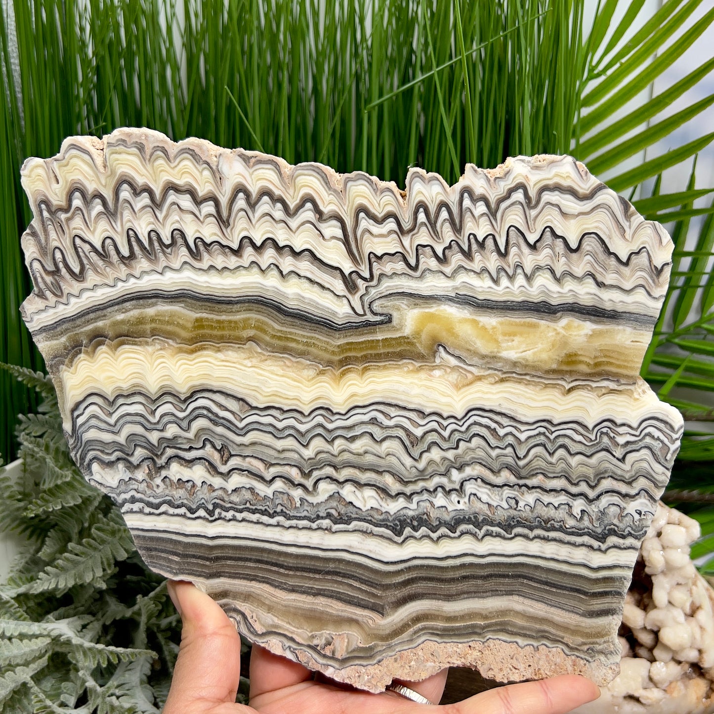 Large Zebra Calcite Slice Healing Crystal Specimen Slab 1104g