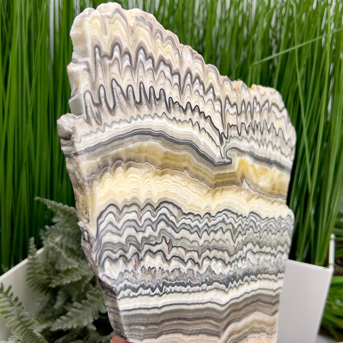 Large Zebra Calcite Slice Healing Crystal Specimen Slab 1104g