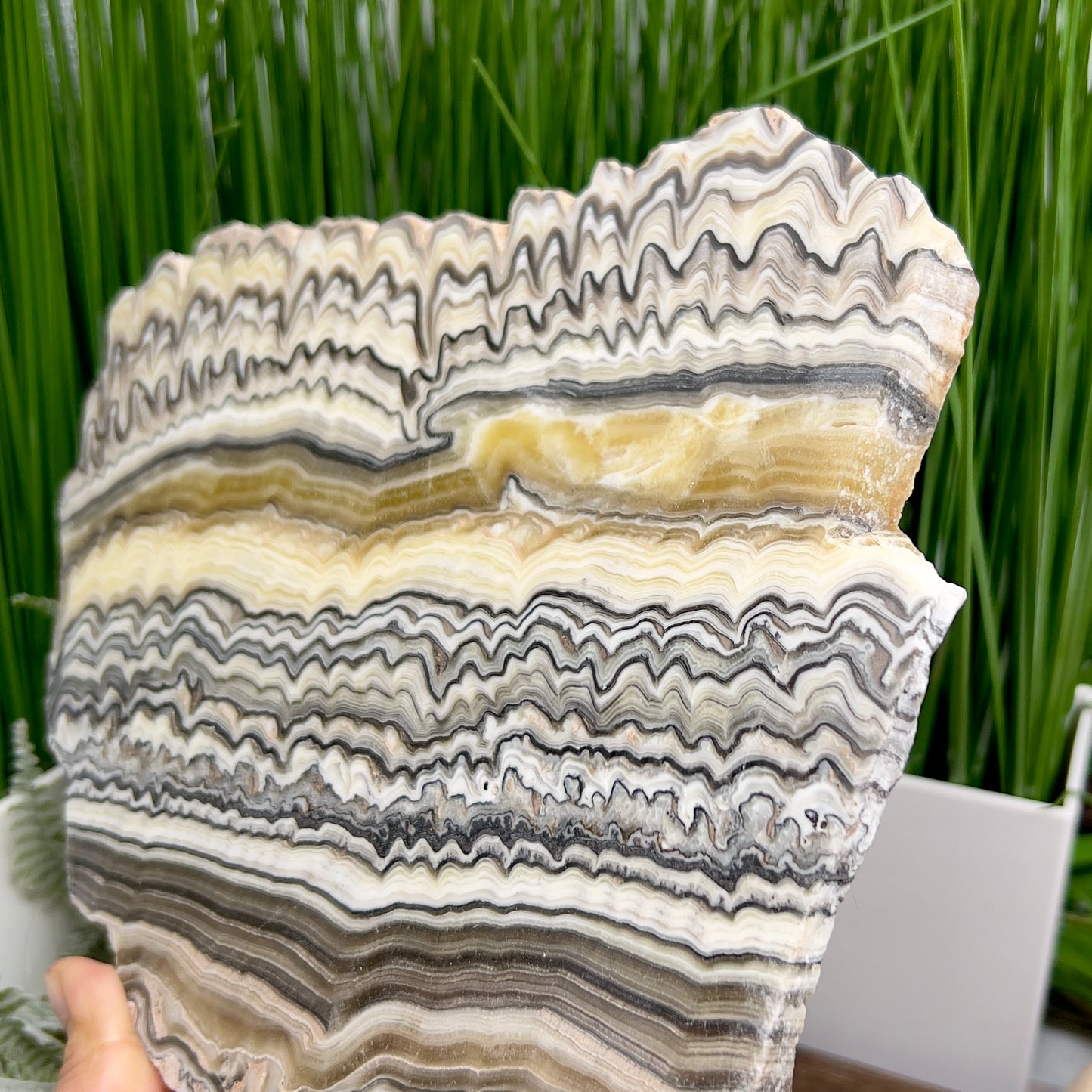Large Zebra Calcite Slice Healing Crystal Specimen Slab 1104g