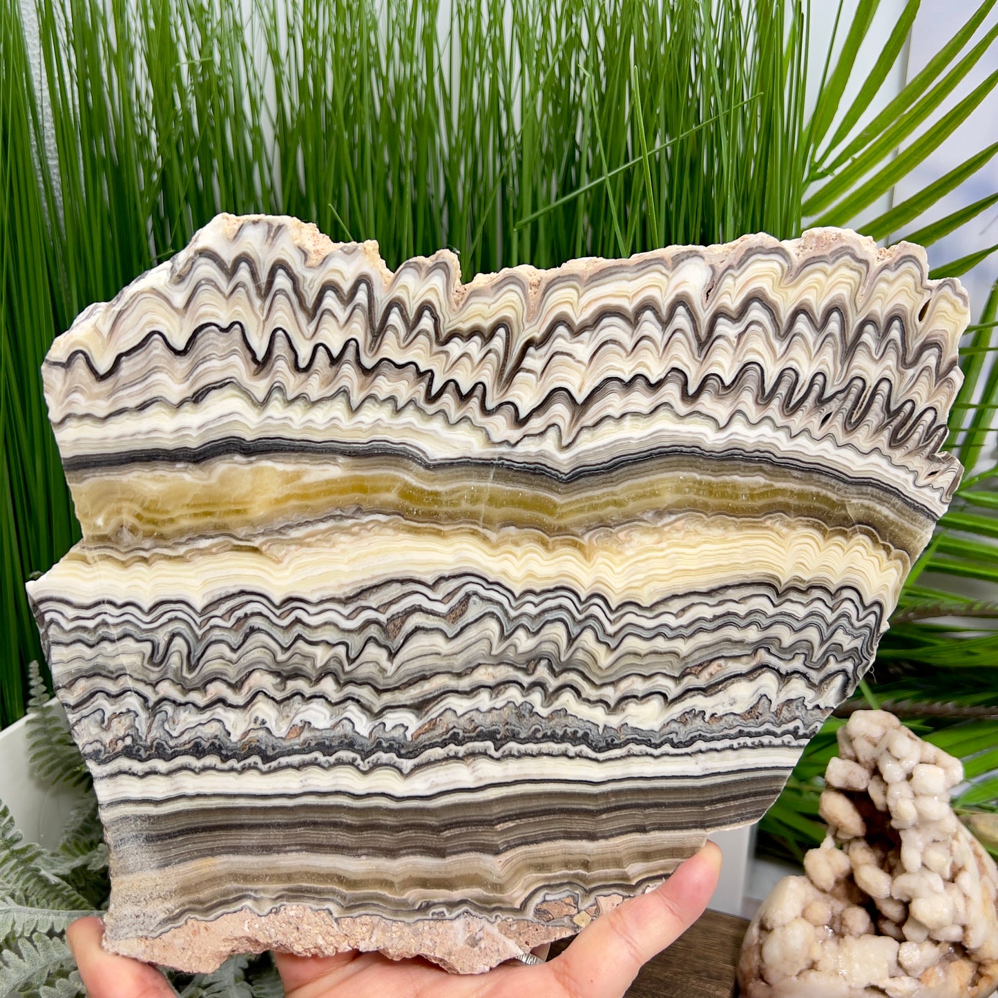 Large Zebra Calcite Slice Healing Crystal Specimen Slab 1104g