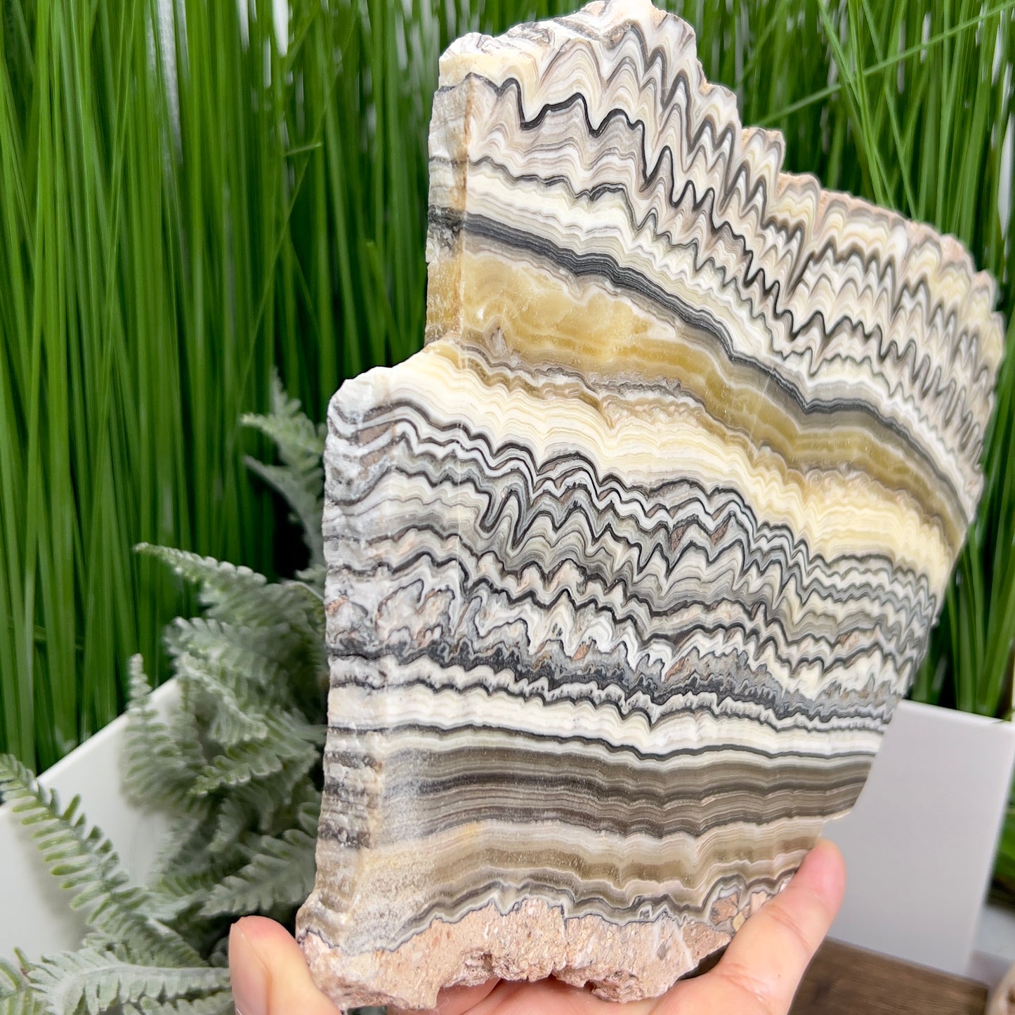 Large Zebra Calcite Slice Healing Crystal Specimen Slab 1104g