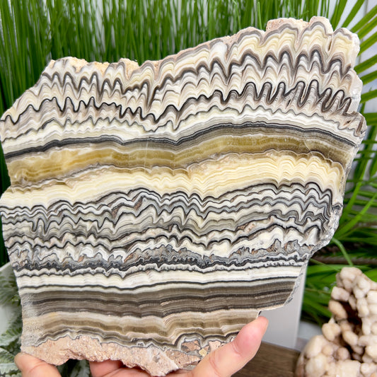 Large Zebra Calcite Slice Healing Crystal Specimen Slab 1104g