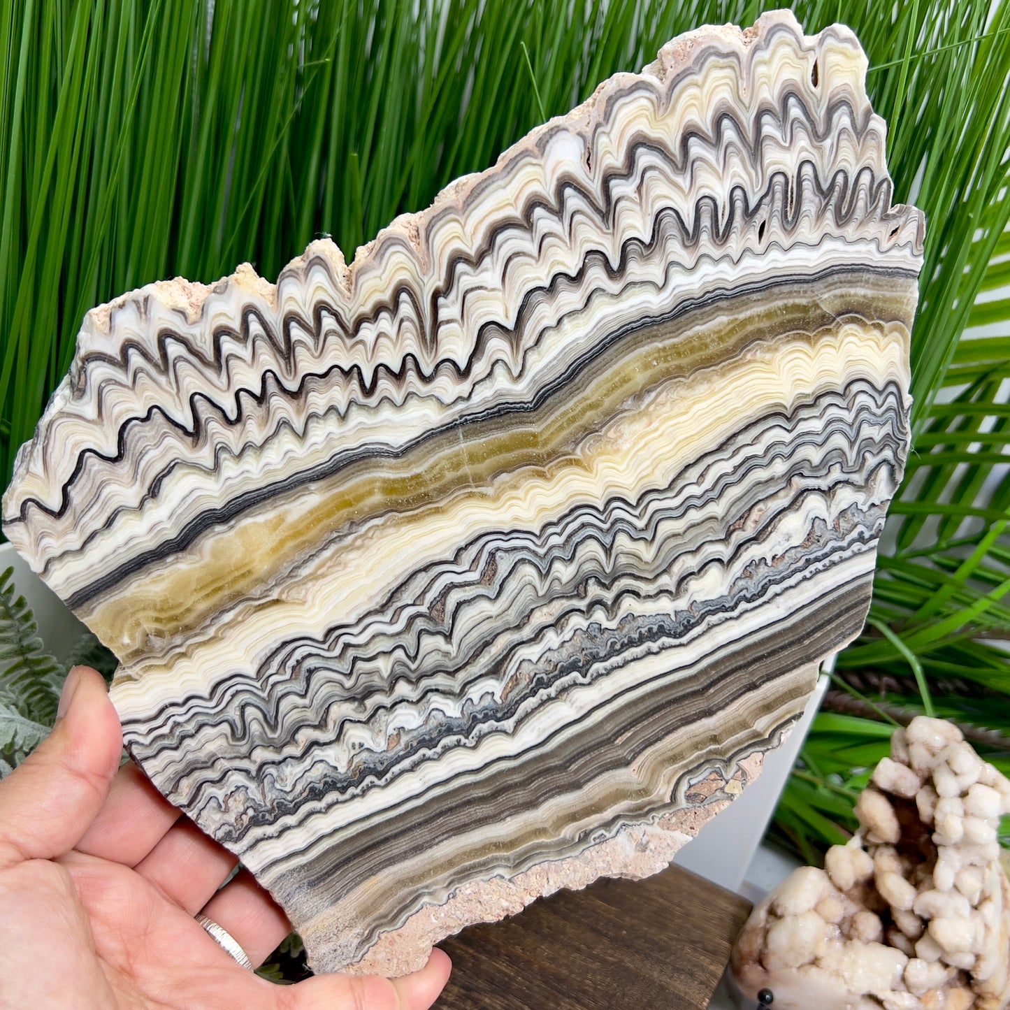 Large Zebra Calcite Slice Healing Crystal Specimen Slab 1104g