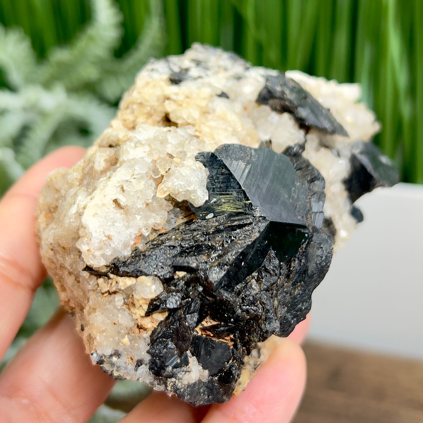 Quartz Black Tourmaline Schorl Raw Specimen Natural Crystal 364g