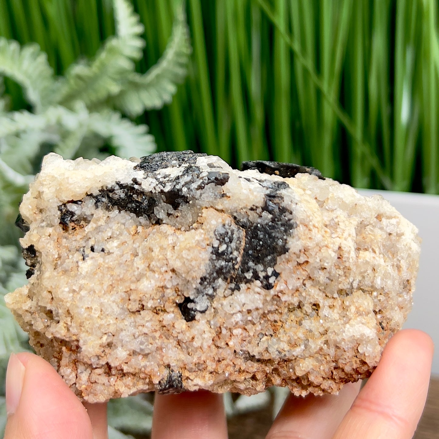 Quartz Black Tourmaline Schorl Raw Specimen Natural Crystal 364g