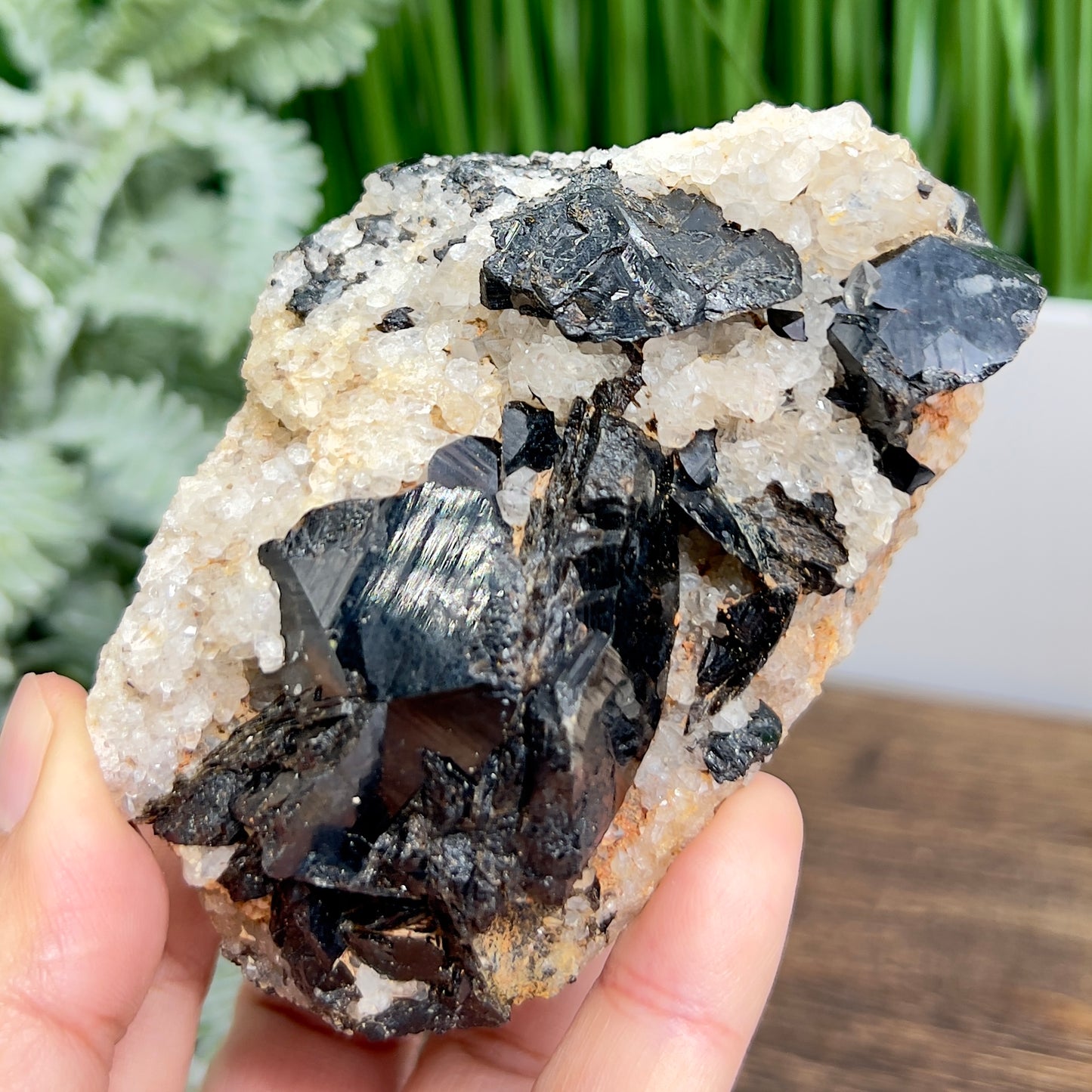 Quartz Black Tourmaline Schorl Raw Specimen Natural Crystal 364g