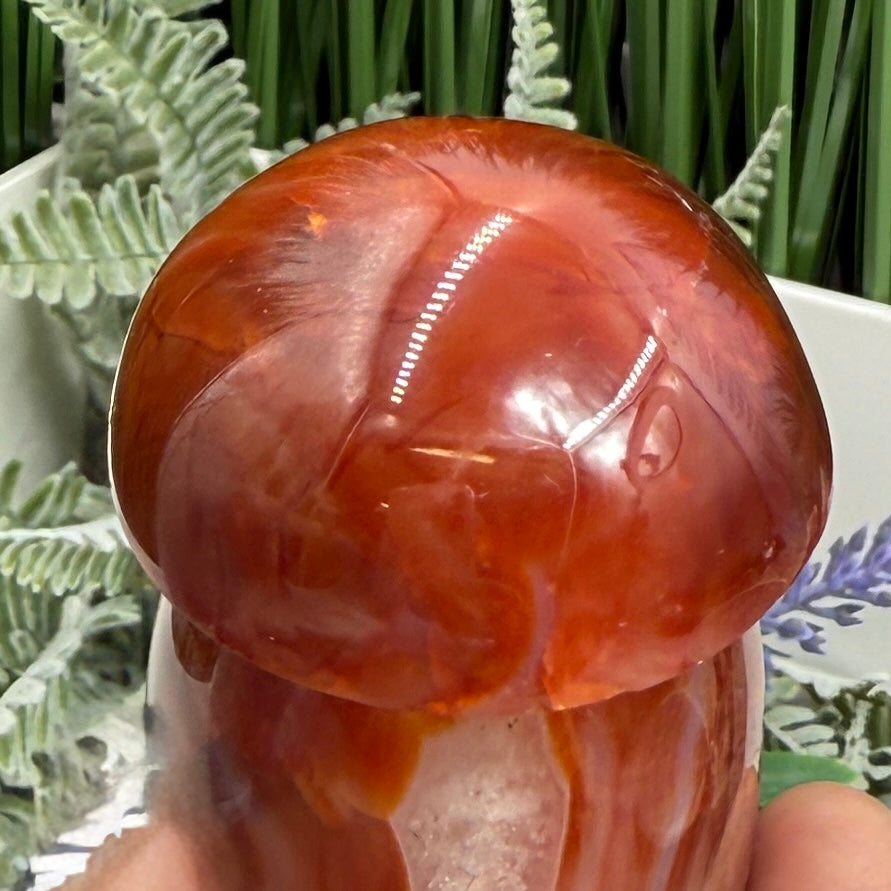 Carnelian Mushroon Healing Crystal Ornament 224g