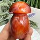 Carnelian Mushroon Healing Crystal Ornament 150g