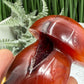Carnelian Mushroon Healing Crystal Ornament 150g
