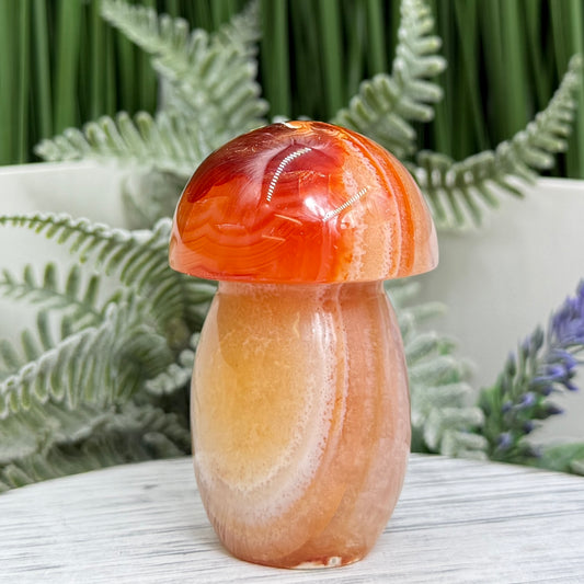 Carnelian Mushroon Healing Crystal Ornament 156g