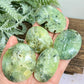 Prehnite with Epidote Palm Stones Worry Crystals YOU CHOOSE
