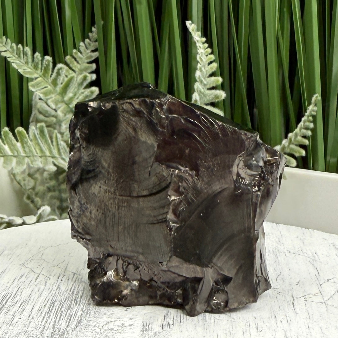 Elite Noble Shungite Raw Chunks Crystal Specimen EMF Protection 57g