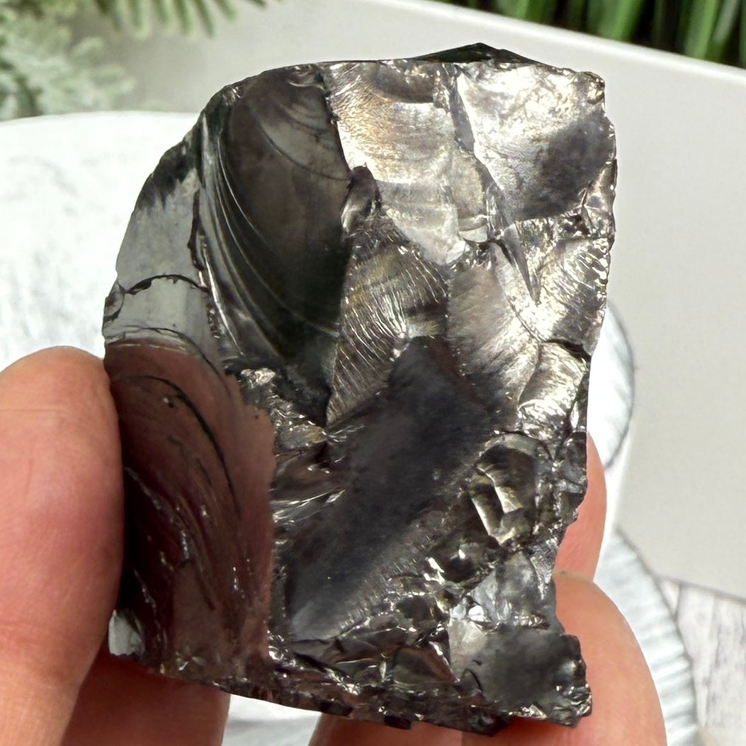 Elite Noble Shungite Raw Chunks Crystal Specimen EMF Protection 57g