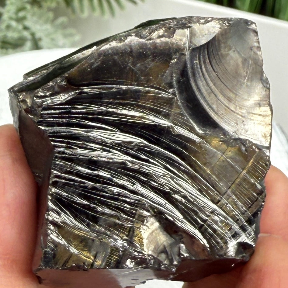 Elite Noble Shungite Raw Chunks Crystal Specimen EMF Protection 57g