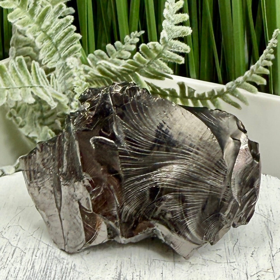 Elite Noble Shungite Raw Chunks Crystal Specimen EMF Protection 53g