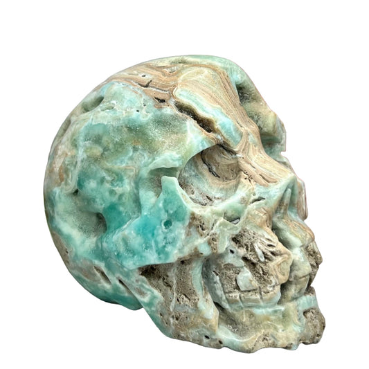 Blue Aragonite Skull Crystal Skull Carving 1086g