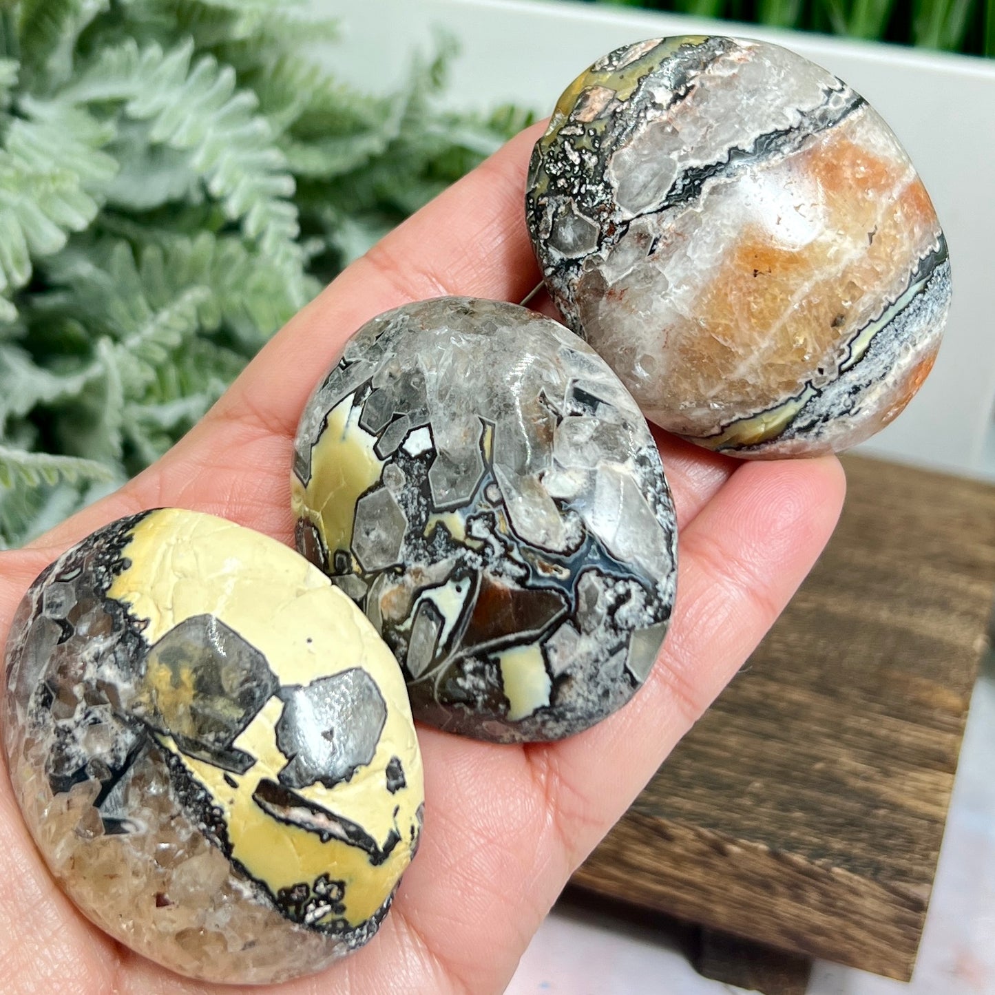 Mosaic Chalcedony Quartz Rare Palm Stones Worry Crystals YOU CHOOSE