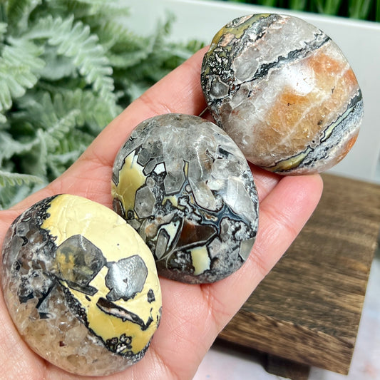 Mosaic Chalcedony Quartz Rare Palm Stones Worry Crystals YOU CHOOSE