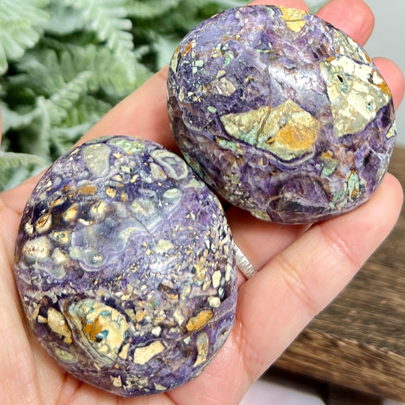Brecciated Jasper Palm Stone Meditation Crystal YOU CHOOSE