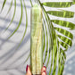 Caribbean Calcite Tower Crystal Generator Crystal