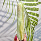 Caribbean Calcite Tower Crystal Generator Crystal