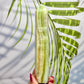 Caribbean Calcite Tower Crystal Generator Crystal
