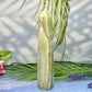 Caribbean Calcite Tower Crystal Generator Crystal
