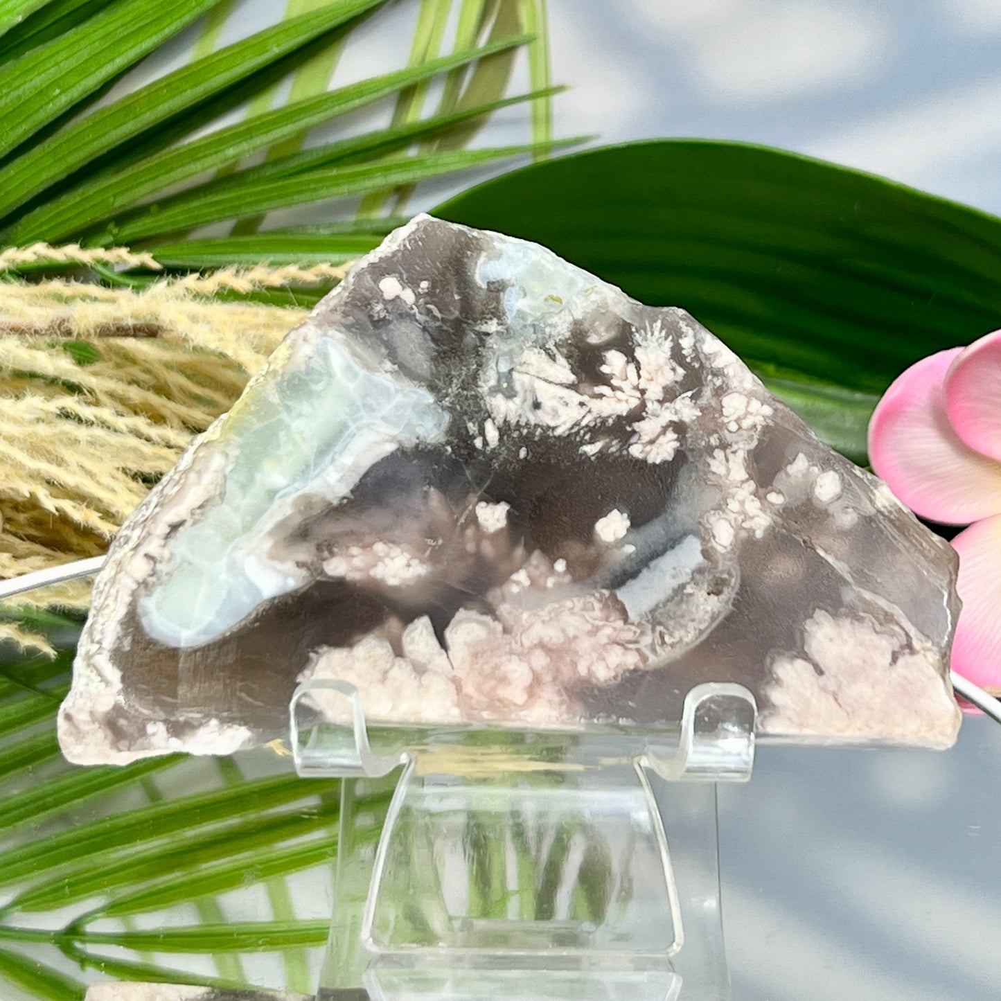Black Flower Agate Sakura Cherry Blossom Slice with Stand Crystal 208g