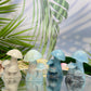 Trolleite Mushroom Clusters Rare Crystal Carvings YOU CHOOSE