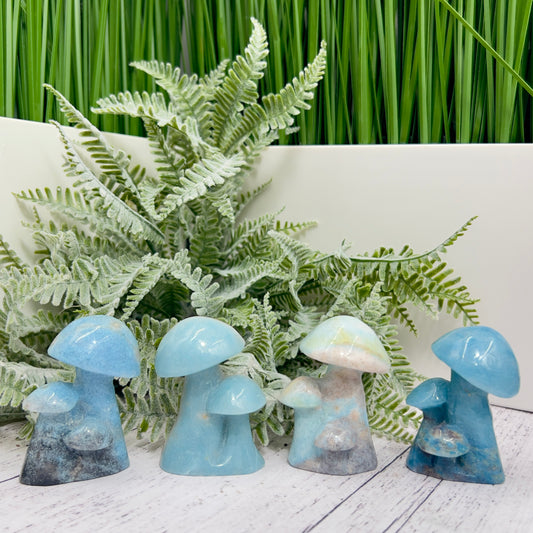 Trolleite Mushroom Clusters Rare Crystal Carvings YOU CHOOSE