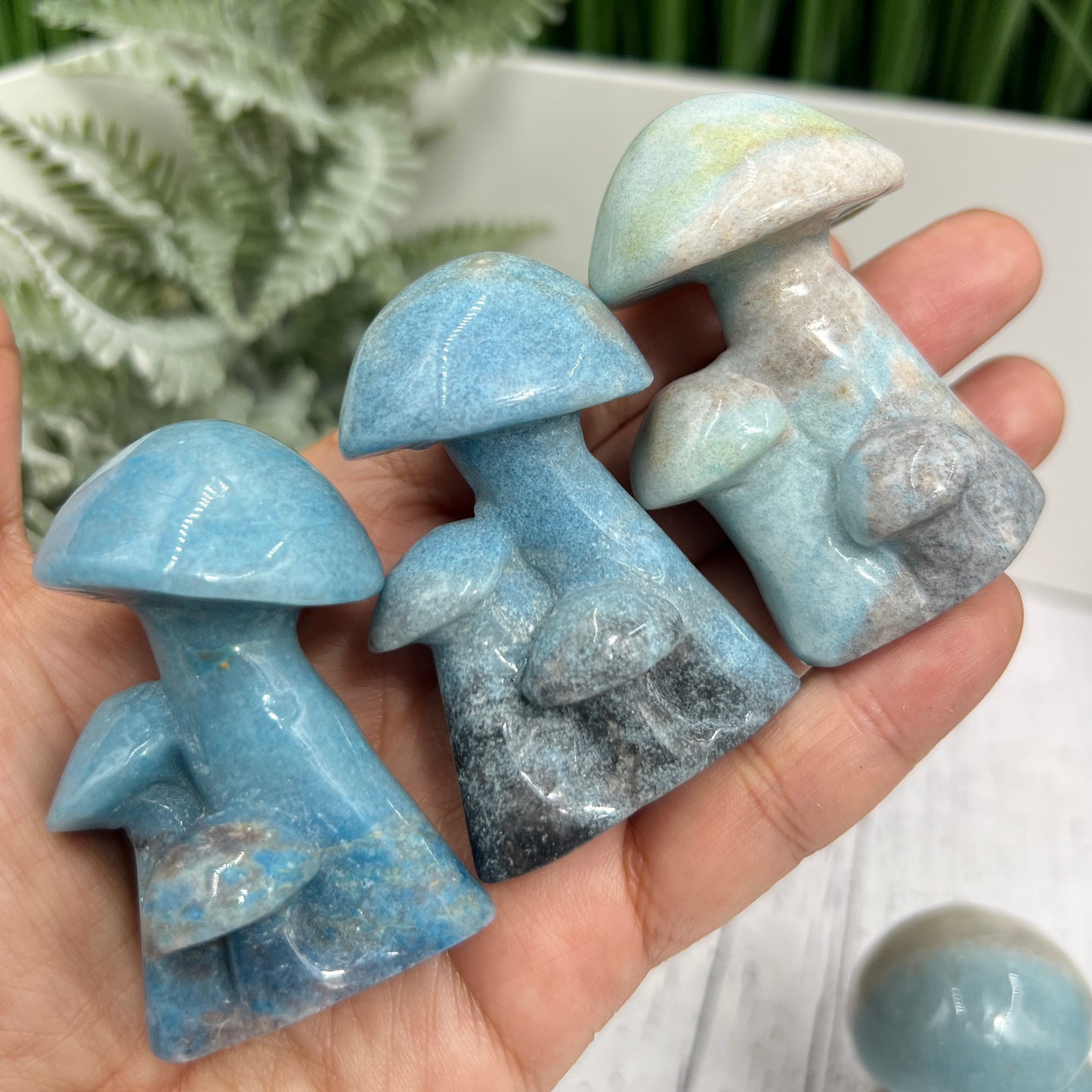 Trolleite Mushroom Clusters Rare Crystal Carvings YOU CHOOSE