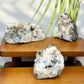 Rainbow Moonstone Natural Raw Crystal Specimen Natural YOU CHOOSE