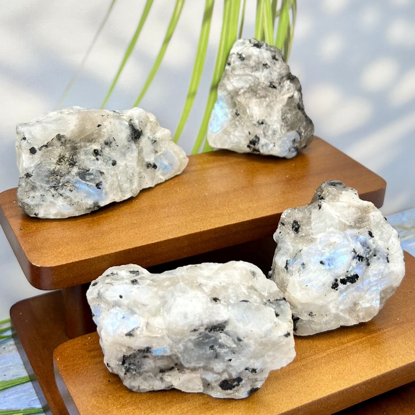 Rainbow Moonstone Natural Raw Crystal Specimen Natural YOU CHOOSE