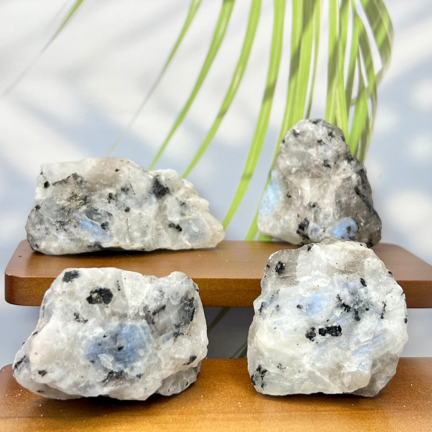 Rainbow Moonstone Natural Raw Crystal Specimen Natural YOU CHOOSE